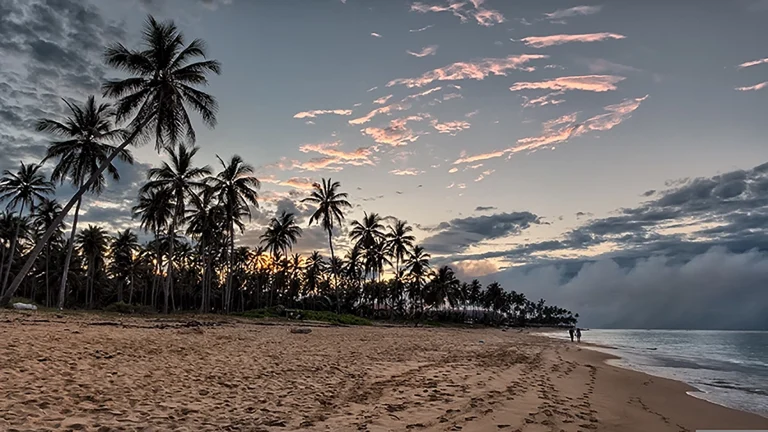 Transfers from Punta Cana Airport to Cotubanama Park
