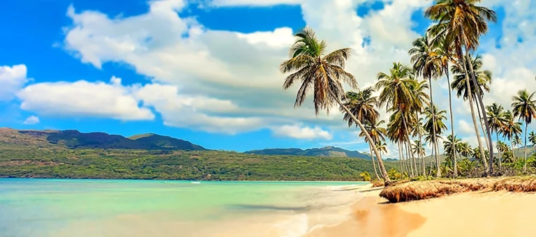 Transfer from Punta Cana Airport to Punta Cana Resort & Club
