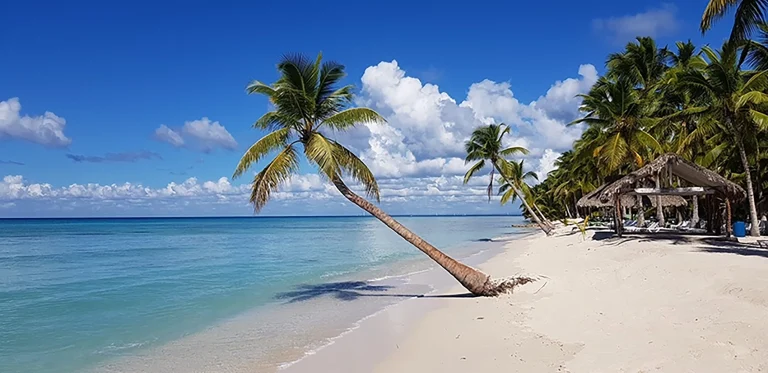 Transfers from Punta Cana Airport to Moca