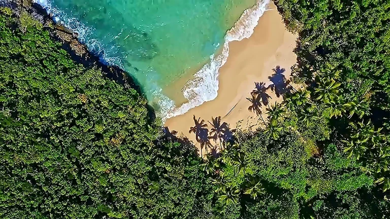 Transfer from Punta Cana Airport to Jaragua National Park