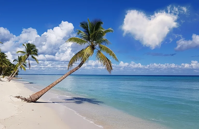 Transfer from Punta Cana Airport to Constanza