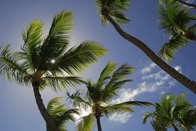 Transfers from Punta Cana Airport to San Cristobal