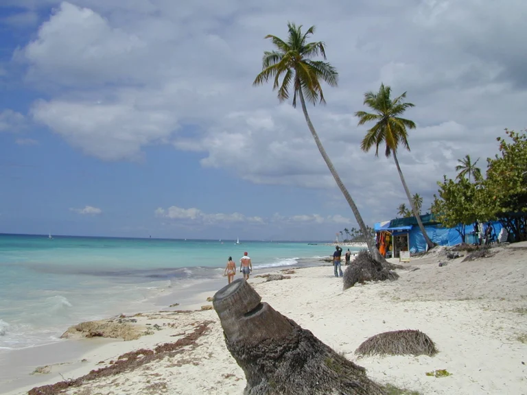 Transfers from Punta Cana Airport to Saona Island