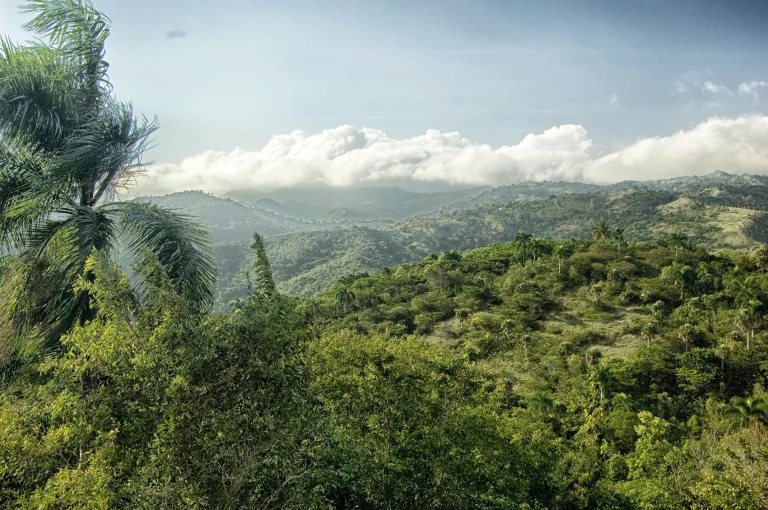Transfers from Punta Cana Airport to Pico Duarte 