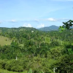 Transfers from Punta Cana Airport to Pozas Damajagua