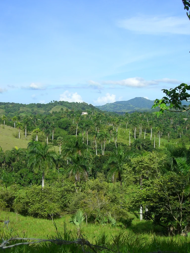 Transfers from Punta Cana Airport to Pozas de Damajagua