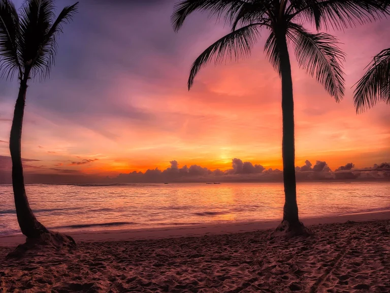 Transfer from Punta Cana Airport to Playa Arena Gorda