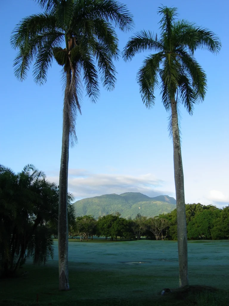 Transfers from Punta Cana Airport to Dunas de Bani