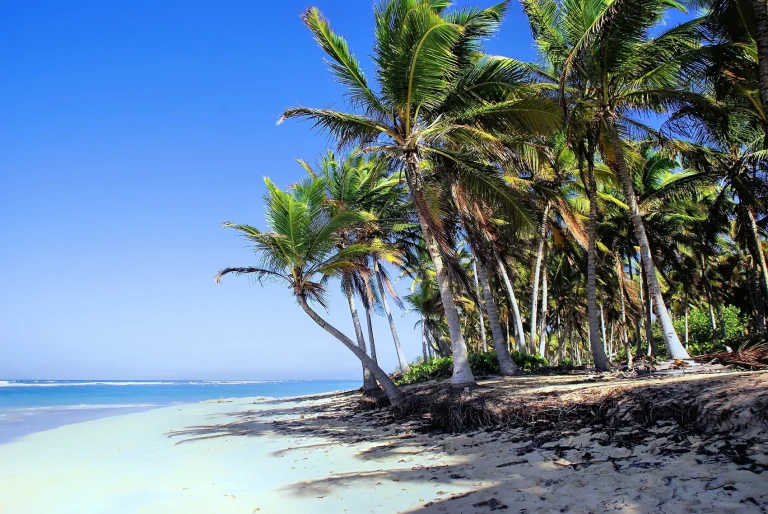 Transfers from Punta Cana Airport to Secrets Cap Cana Resort