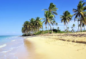 Best Restaurants in Dunas de Bani