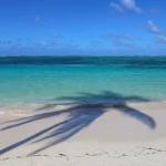 Transfers from Punta Cana Airport