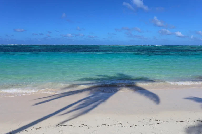 Transfers from Punta Cana Airport to Hilton La Romana Resort