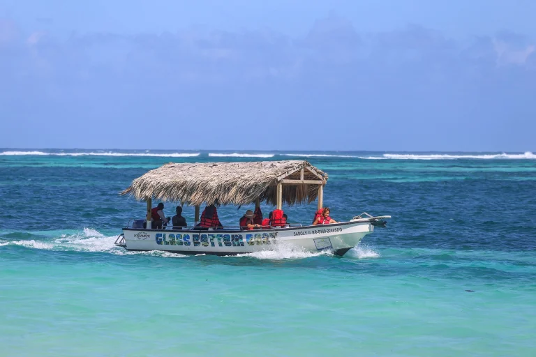 Transfers from Punta Cana Airport to Playa Dominicus