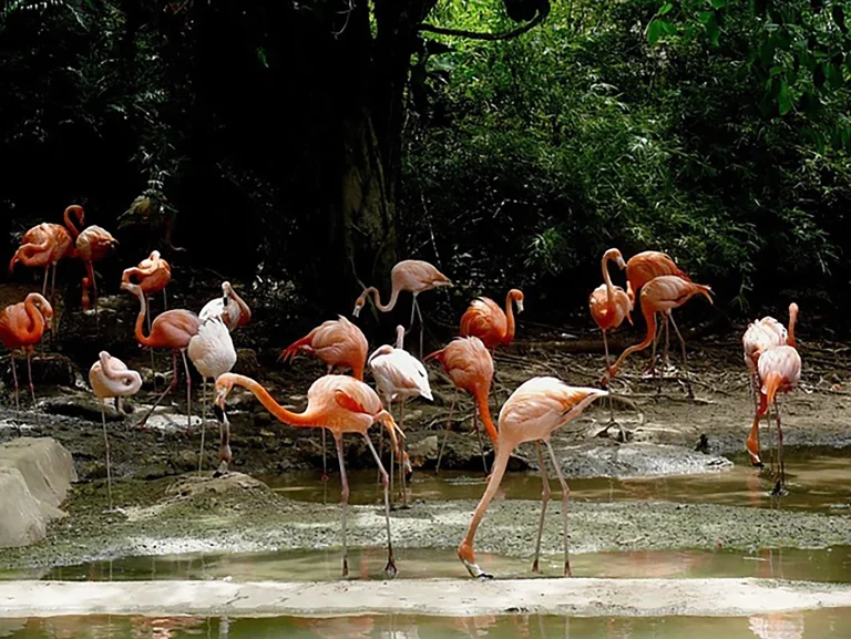 Transfers from Punta Cana Airport to Los Alcarrizos