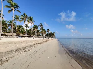 Visit Ocean World Adventure Park in Puerto Plata