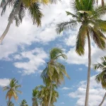 Transfers from Punta Cana Airport to Los Tres Ojos