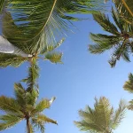 Transfers from Punta Cana Airport to Jarabacoa