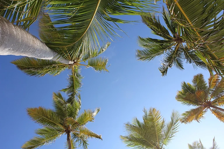 Transfers from Punta Cana Airport to Jarabacoa