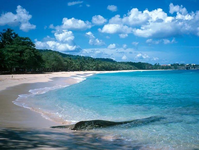 Transfer from Punta Cana Airport to Cabeza de Toro