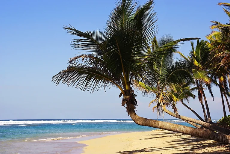 Transfers from Punta Cana Airport to Samana