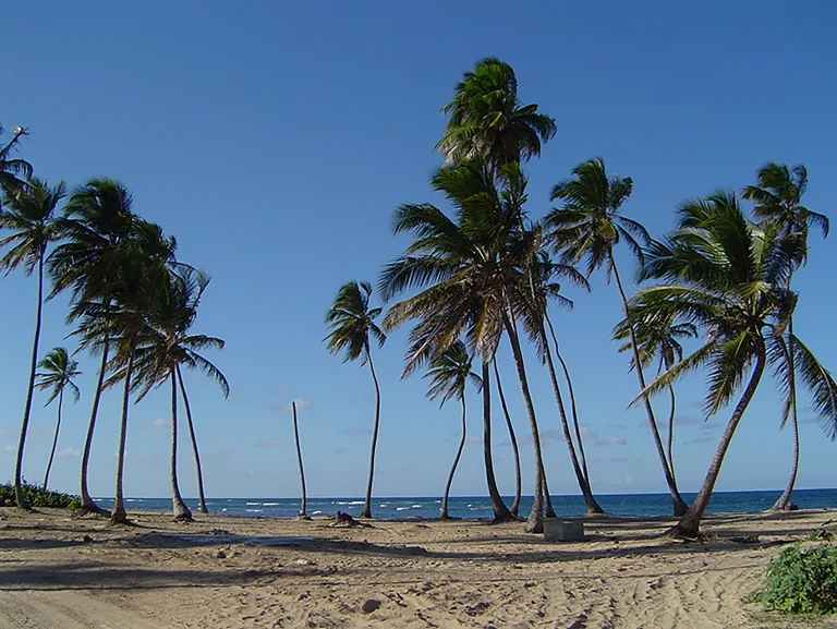 Transfers from Punta Cana Airport to Uvero Alto