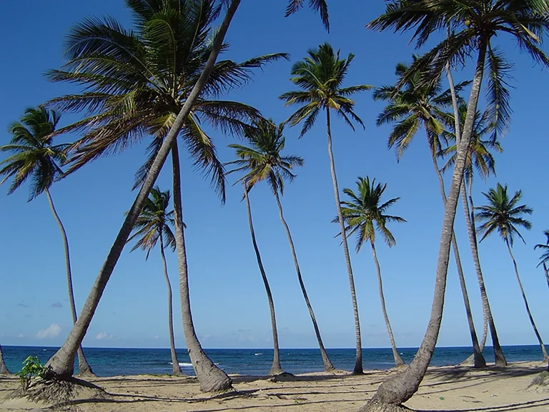 Transfers from Punta Cana Airport to Cabarete