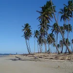 Transfers from Punta Cana Airport to Las Galeras
