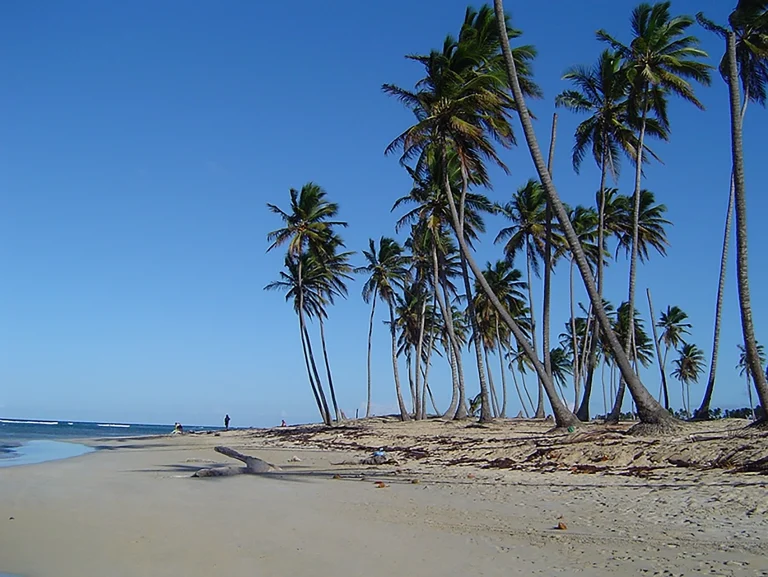 Transfers from Punta Cana Airport to Las Galeras