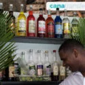 The best bars in Punta Cana